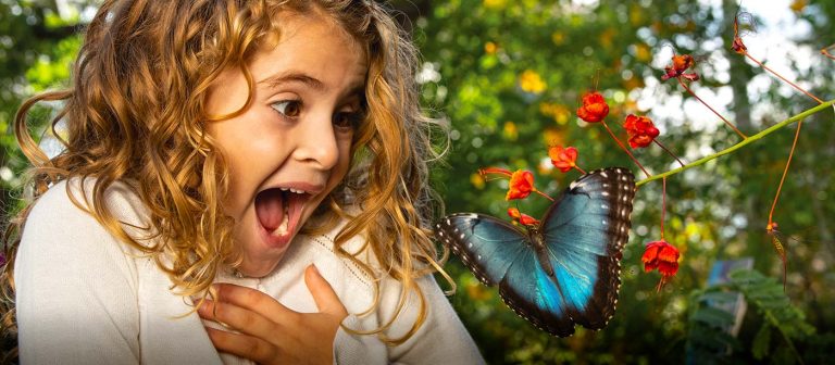 La exposición de hábitats de mariposas vuelve a Springs Preserve en Las Vegas
