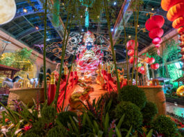 You still have time to see Bellagio’s Conservatory & Botanical Gardens Year of the Rabbit Spectacular Display
