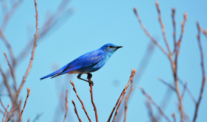 Screen Shot 2023-03-27 at 11.09.17 AM