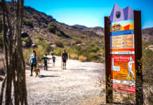 ¿Cómo prevenir un golpe de calor?