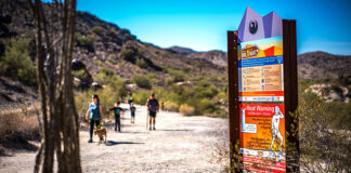 ¿Cómo prevenir un golpe de calor?